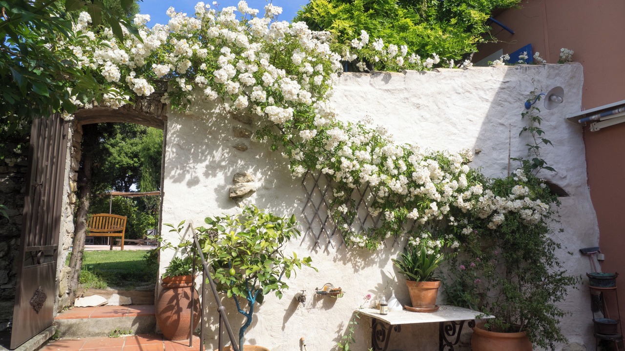 Photo of Patio Balcony in Le Beausset