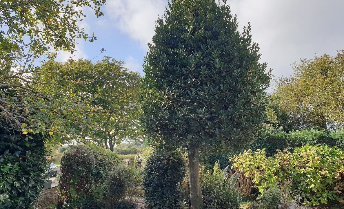 Photo of Outdoor in Tredrez-Locquemeau