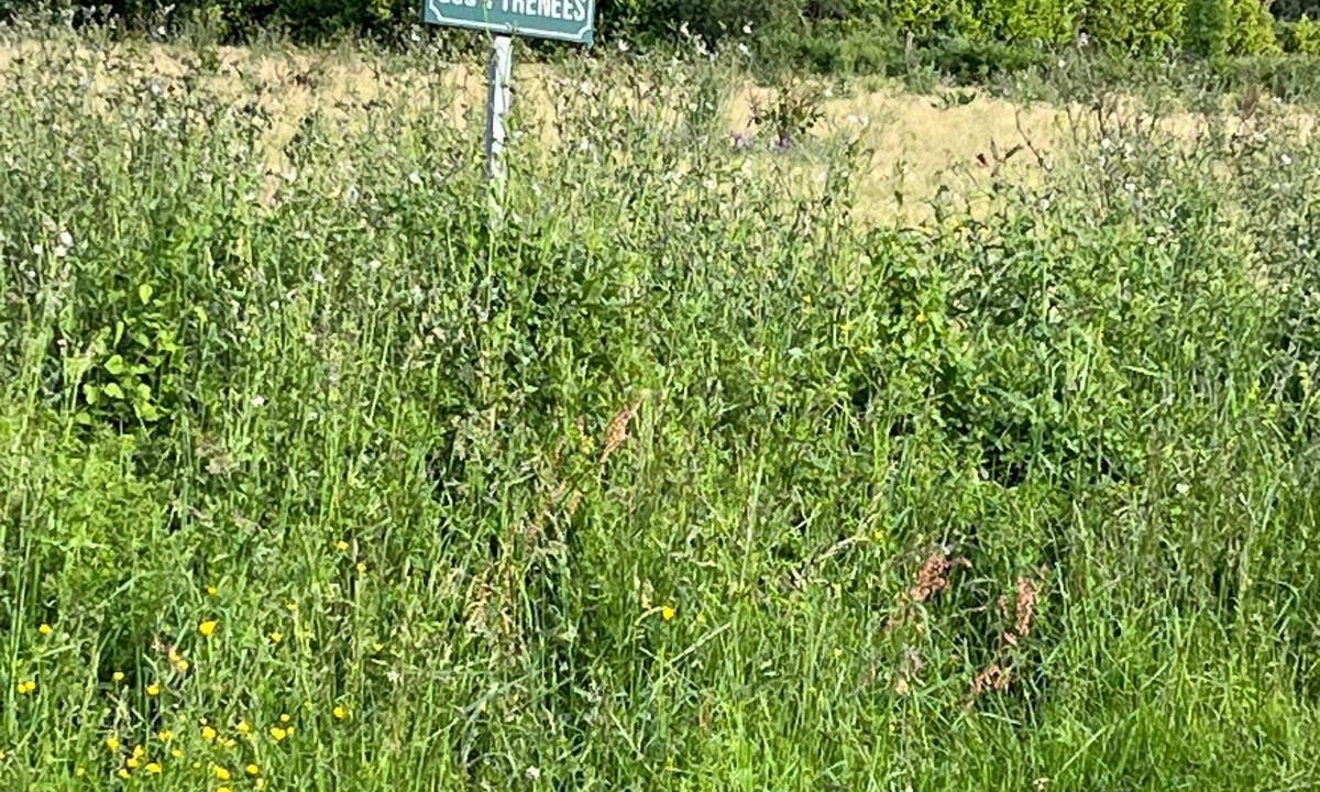 Photo of Others in Monsegur (Pyrenees)