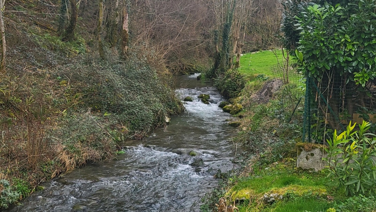 Photo of Others in Louvie Juzon