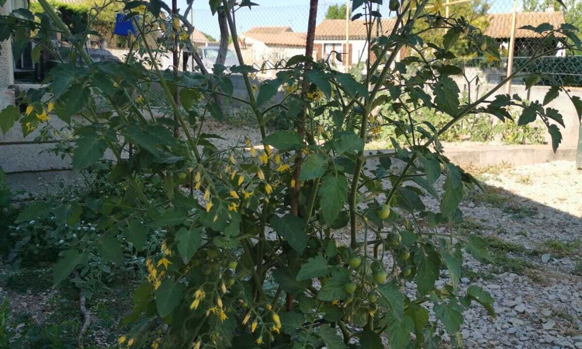 Photo of Outdoor in Bezouce