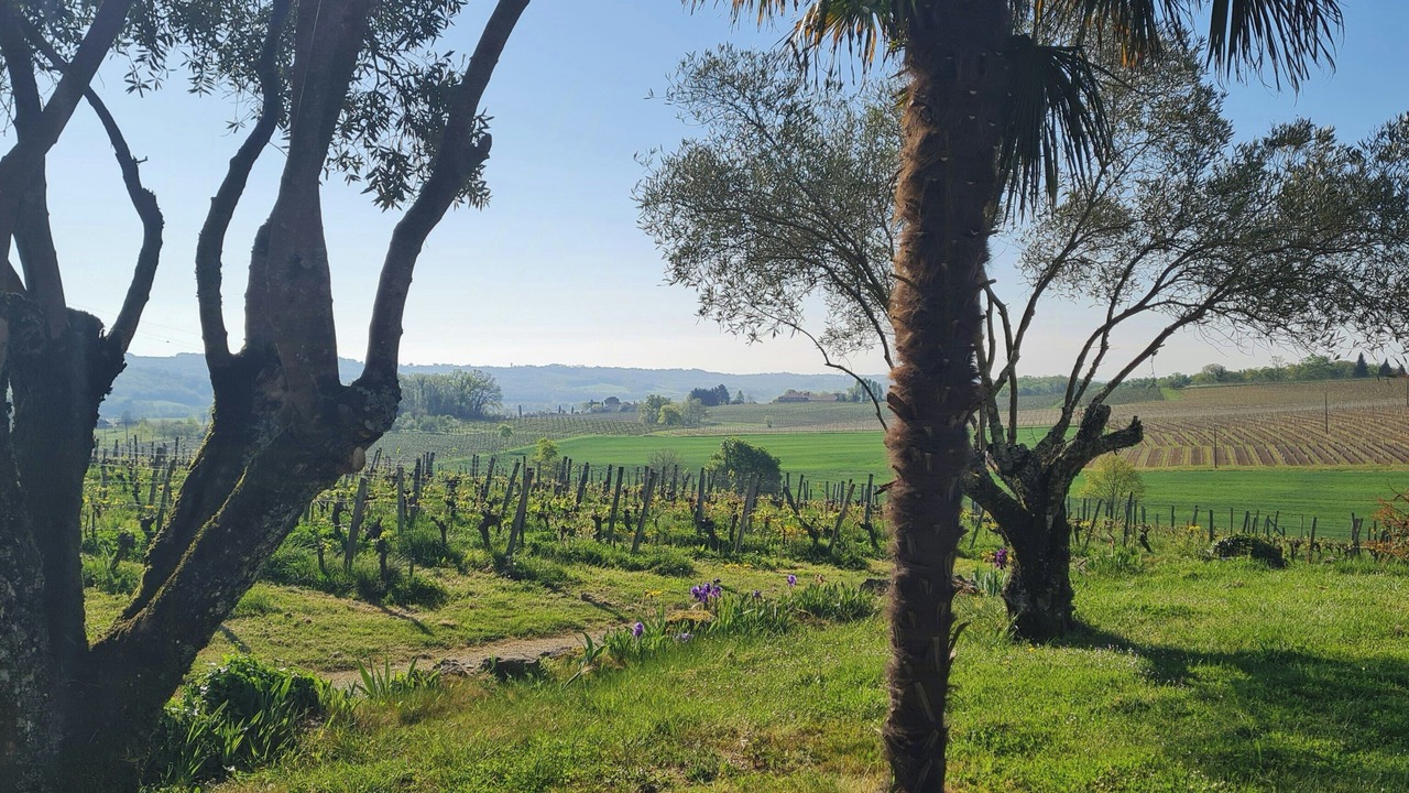 Photo of Others in Maumusson-Laguian
