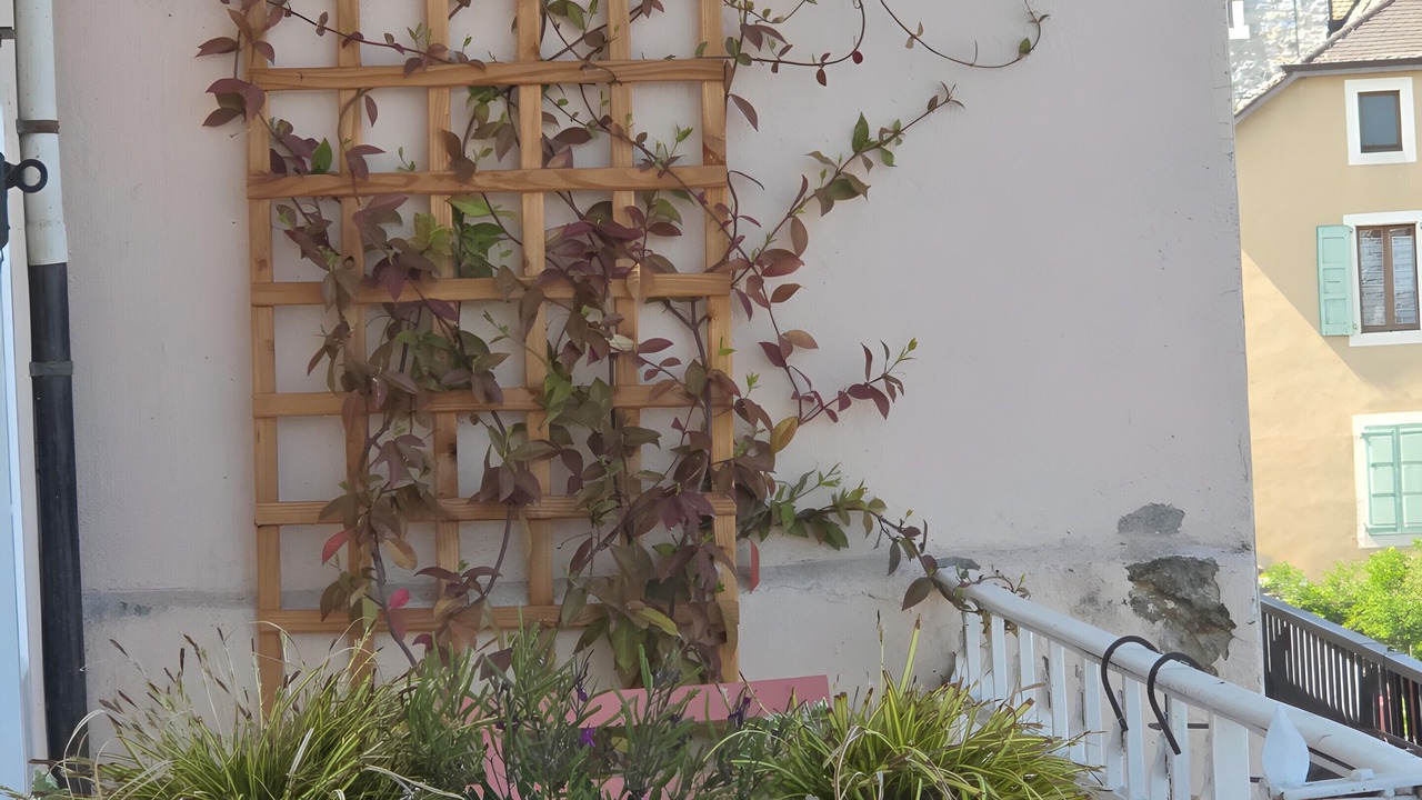 Photo of Outdoor in Excenevex