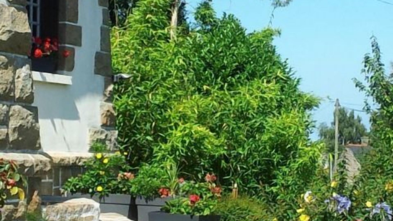 Photo of Outdoor in La Meaugon