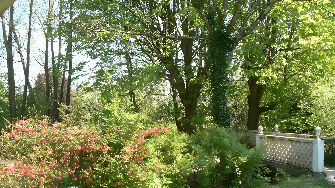 Photo of Outdoor in Sampigny