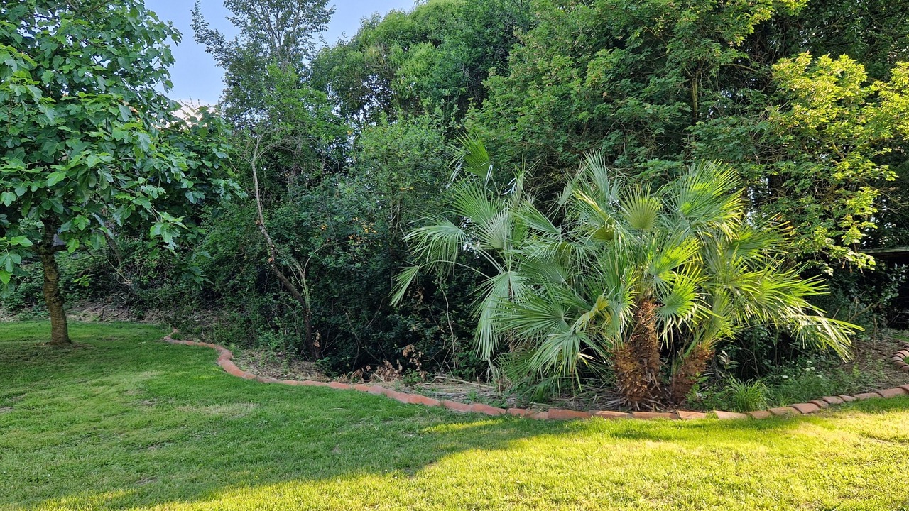 Photo of Outdoor in Cazaux-Villecomtal