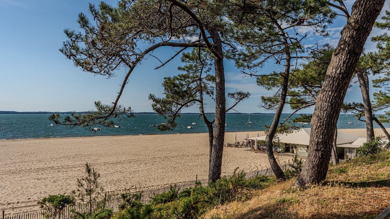 Photo of Others in Arcachon