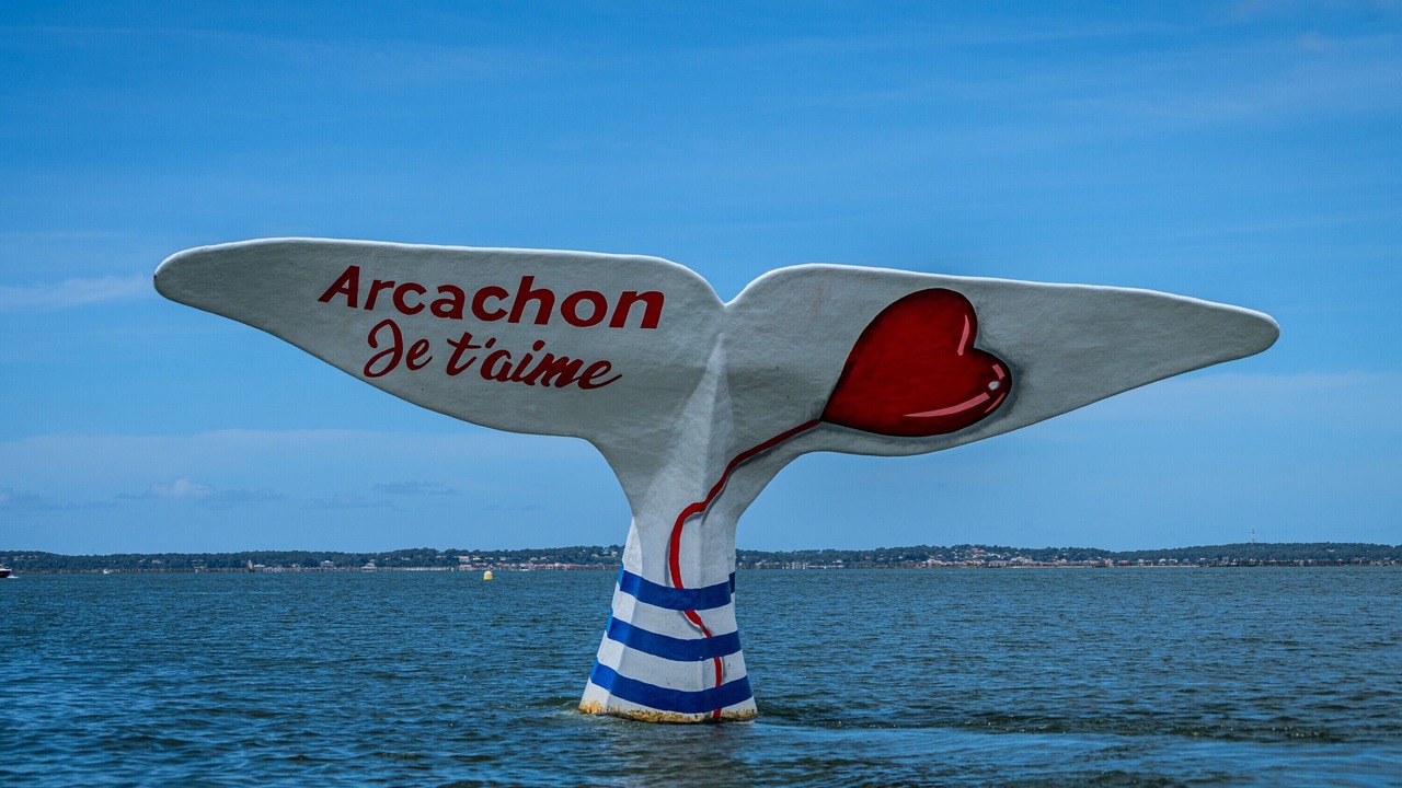 Photo of Others in Arcachon