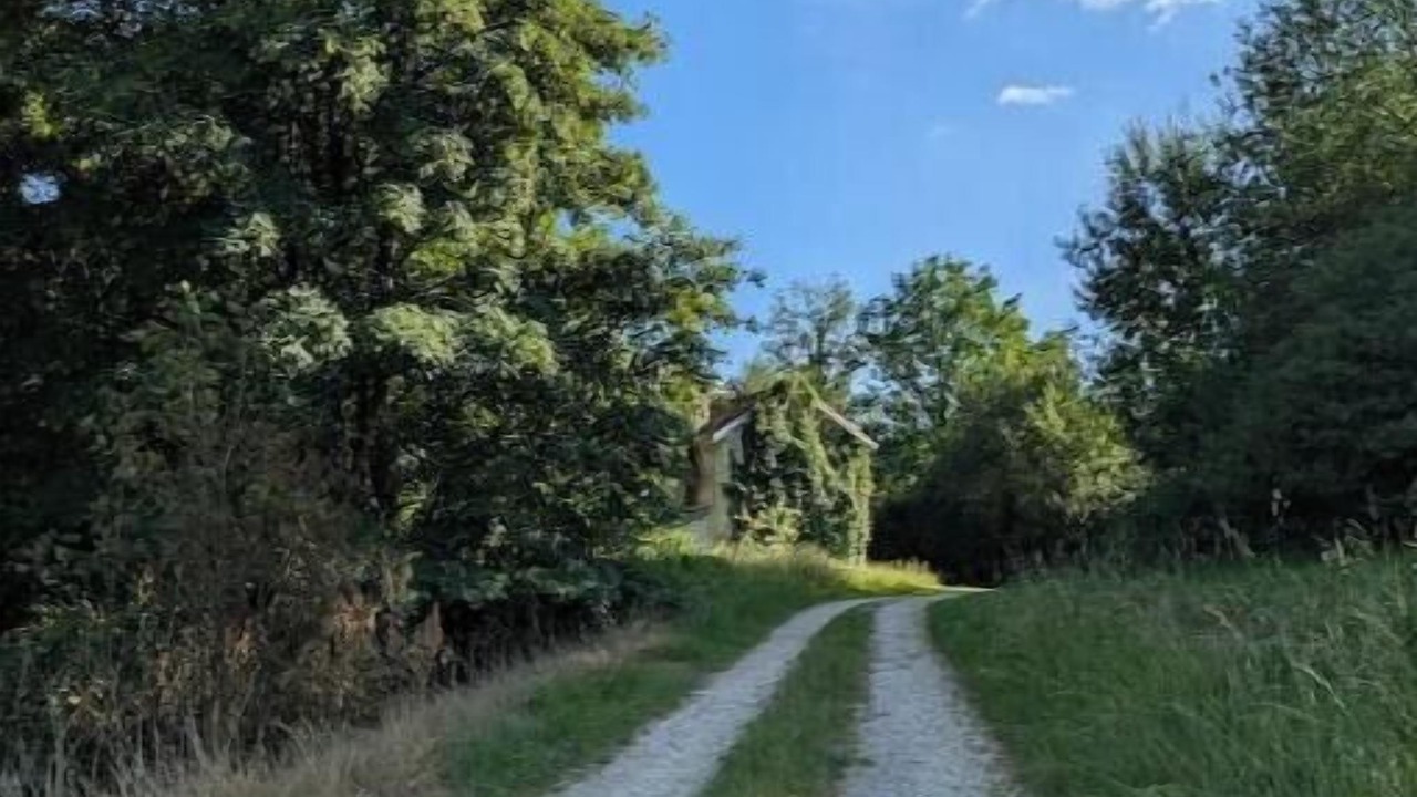 Photo of Others in Bergeres-sous-Montmirail
