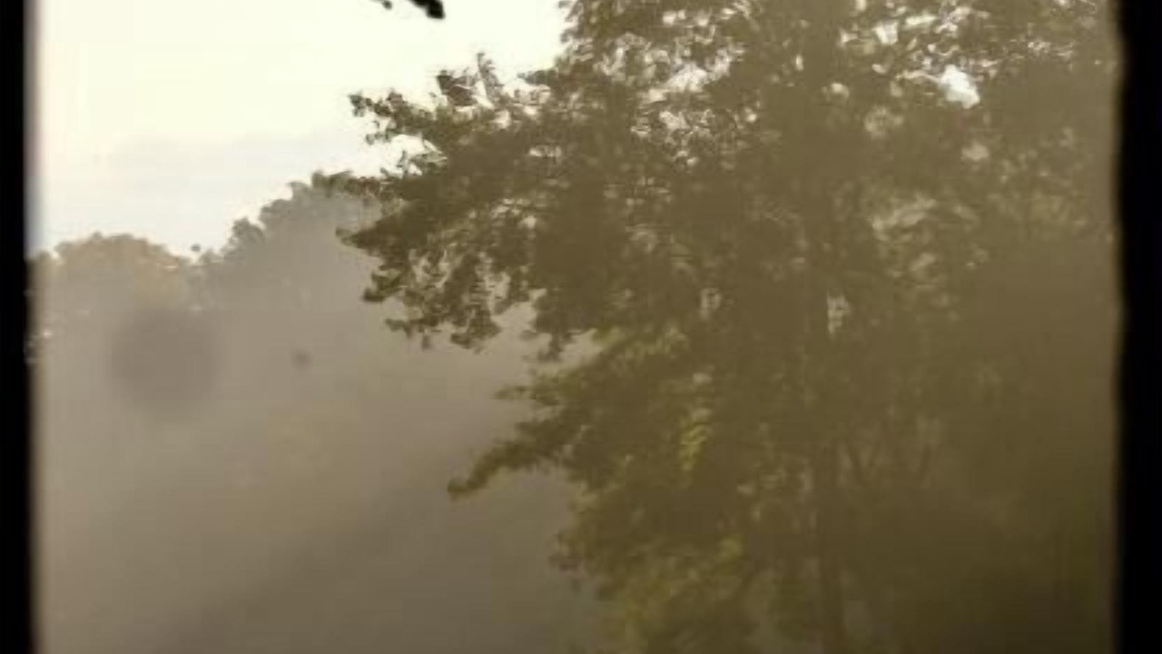 Photo of Others in Bergeres-sous-Montmirail
