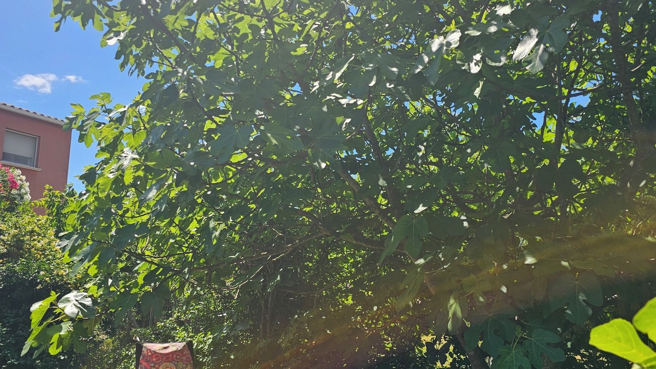 Photo of Outdoor in Bagnols-sur-Ceze