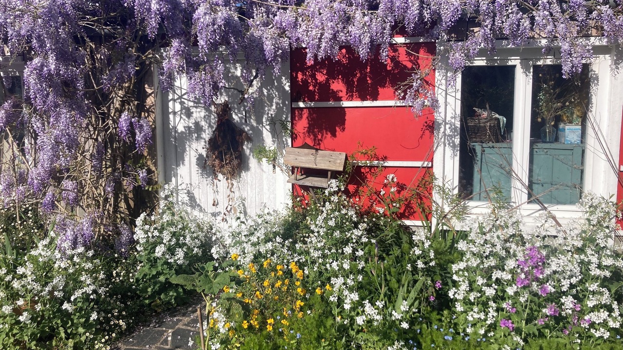 Photo of Outdoor in Lezardrieux
