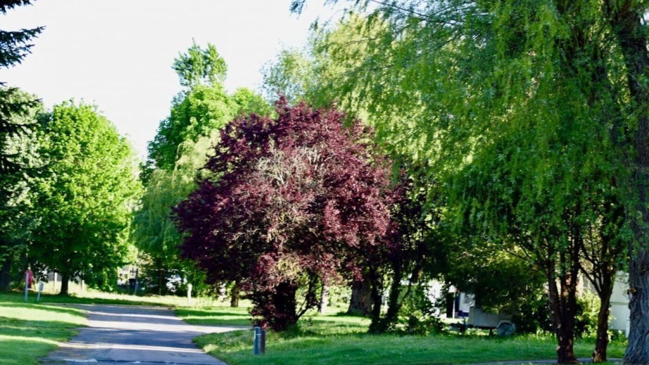 Photo of Others in Pont-sur-Yonne
