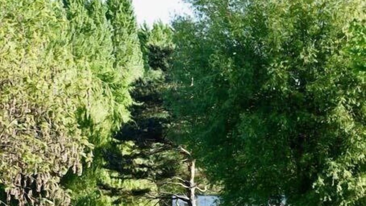 Photo of Others in Pont-sur-Yonne