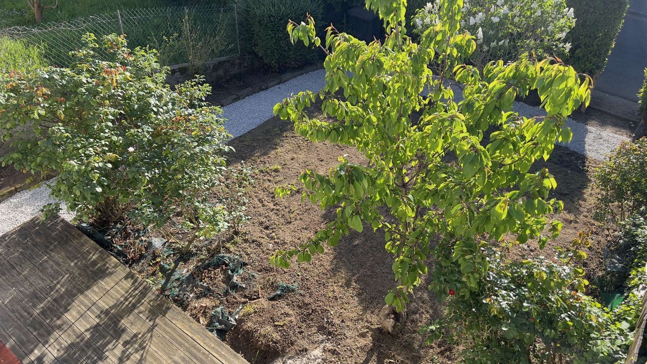 Photo of Outdoor in Saint-Brieuc