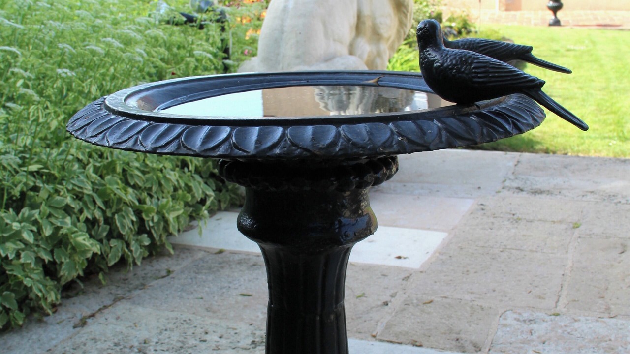 Photo of Outdoor in Villeneuve-sur-Yonne
