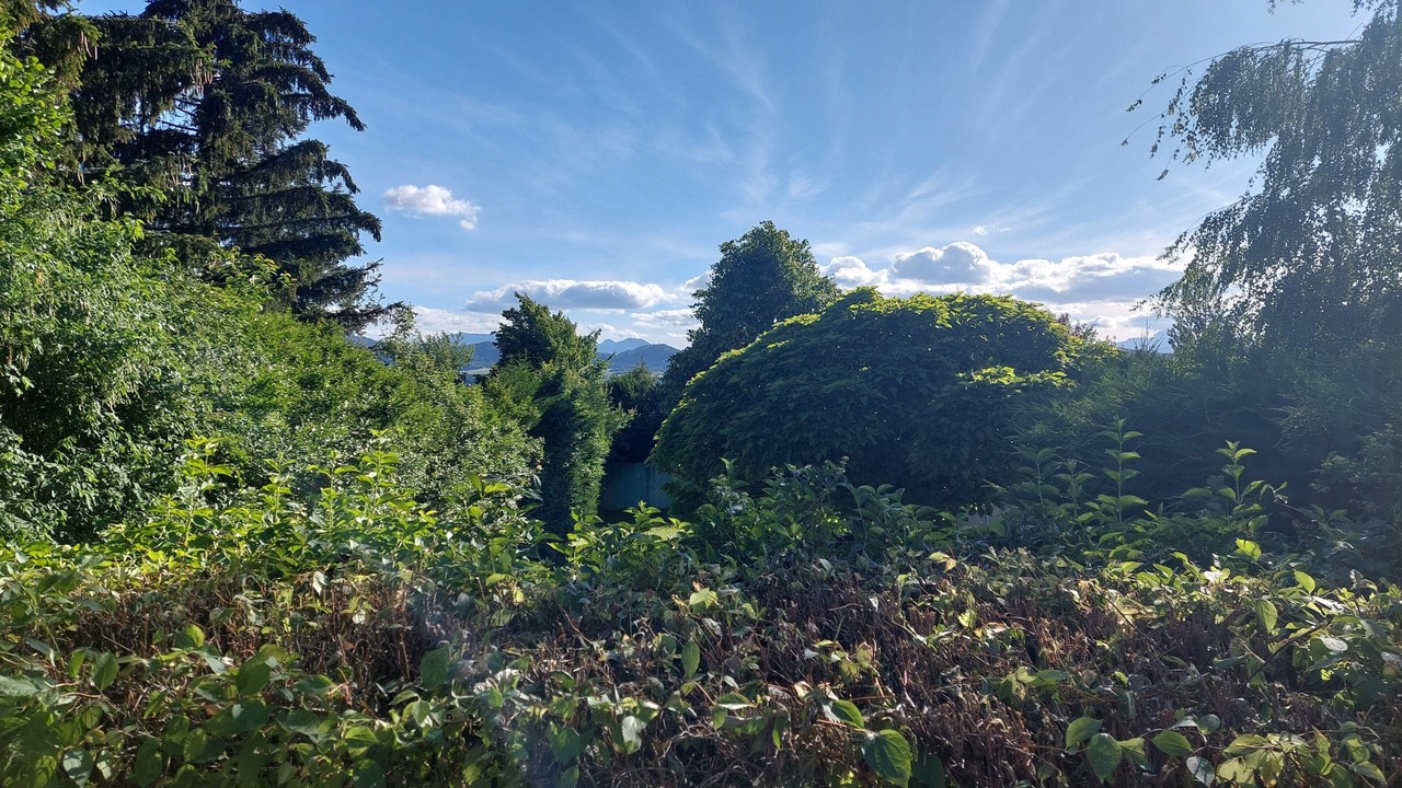 Photo of Others in Saint-Laurent-en-Beaumont