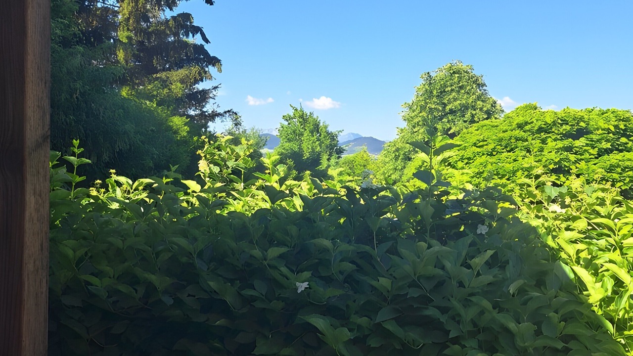 Photo of Outdoor in Saint-Laurent-en-Beaumont