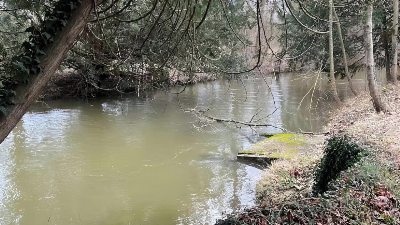 Photo of Others in Sillery