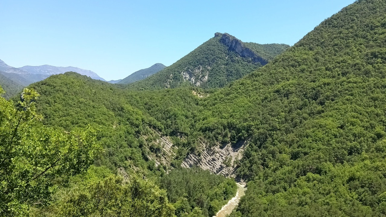 Photo of Others in Sigale
