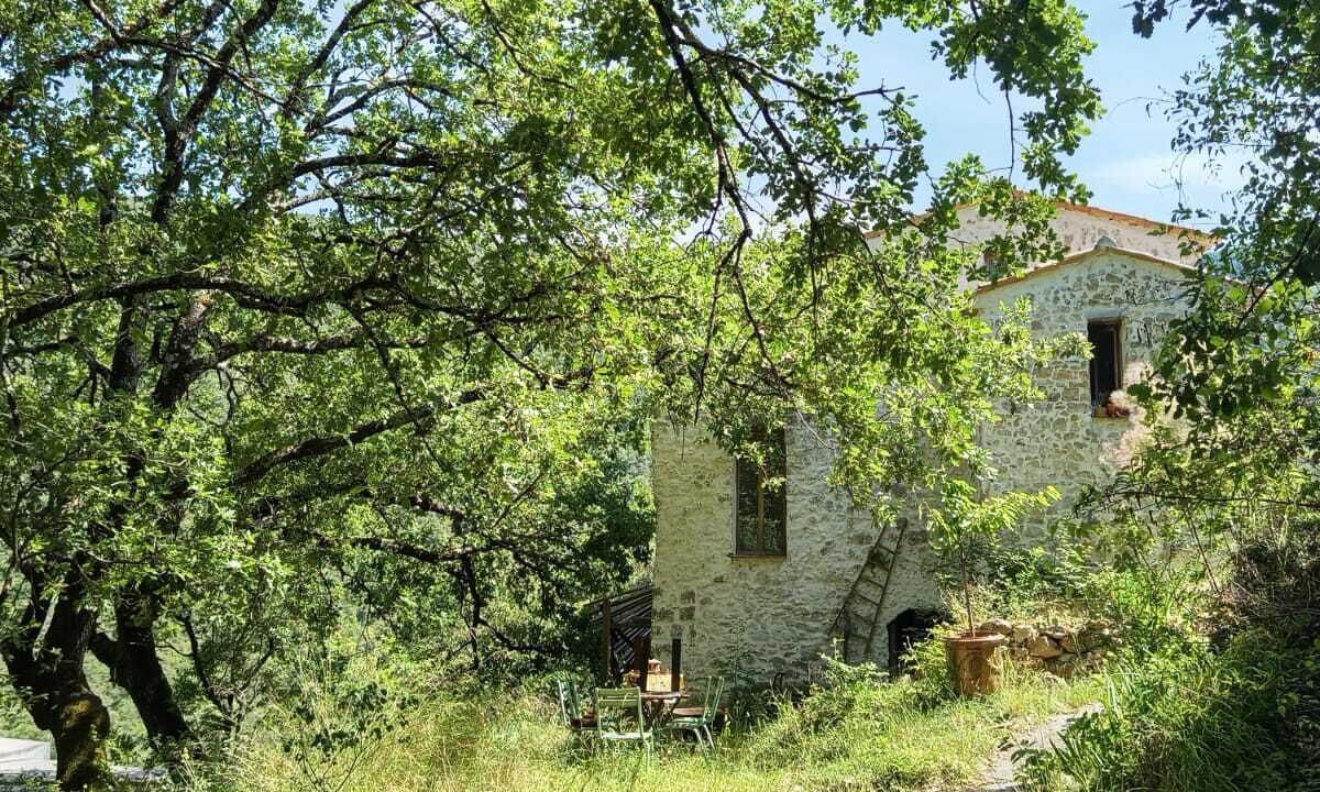 Photo of Outdoor in Sigale