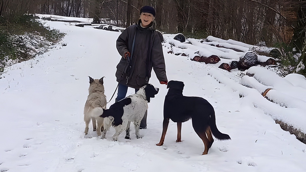 Photo of Others in Signy-lAbbaye