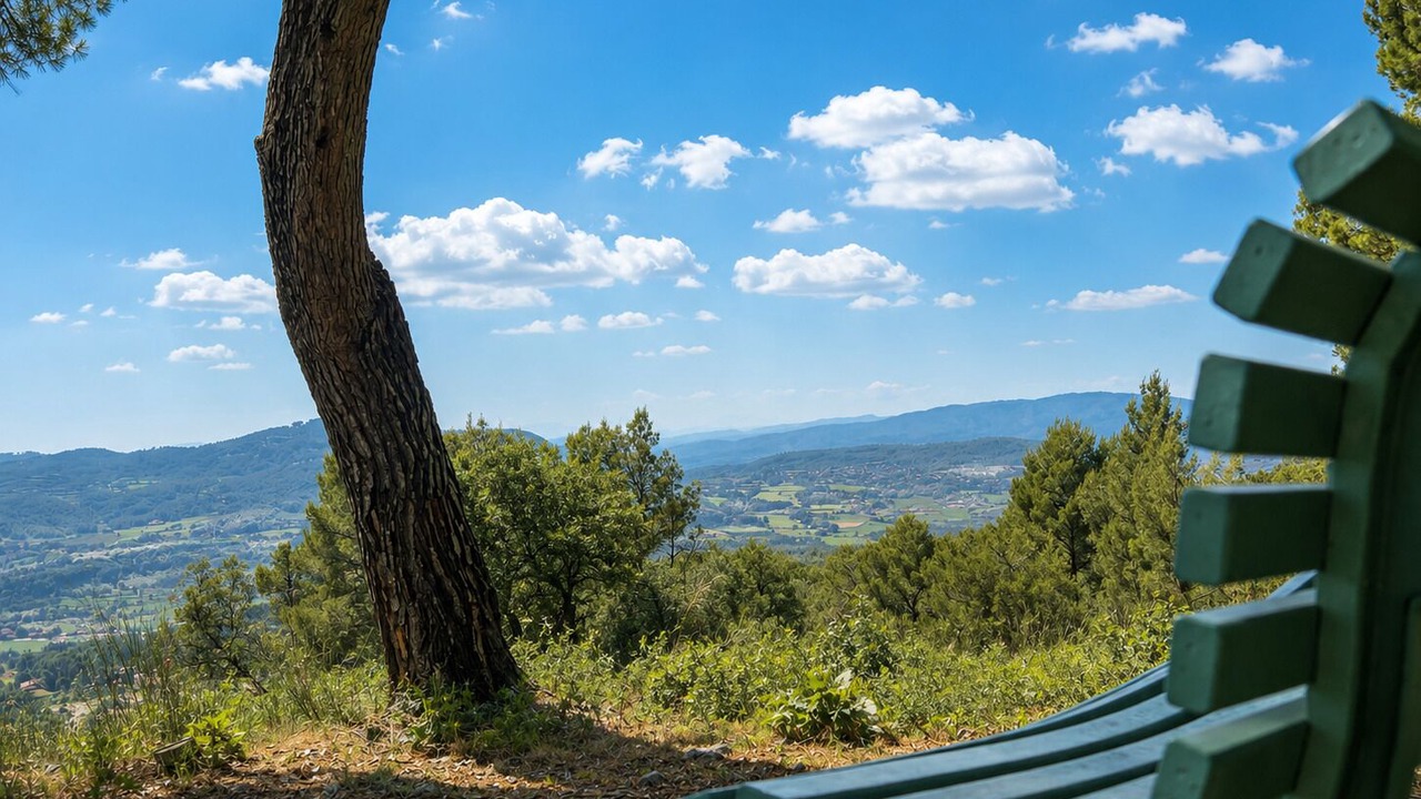 Photo of Outdoor in Le Beausset