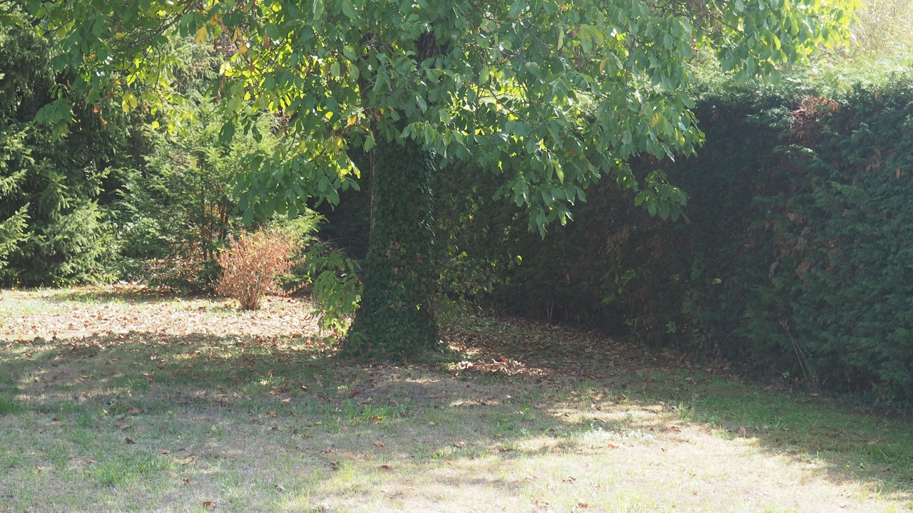 Photo of Outdoor in Saint-Dizier