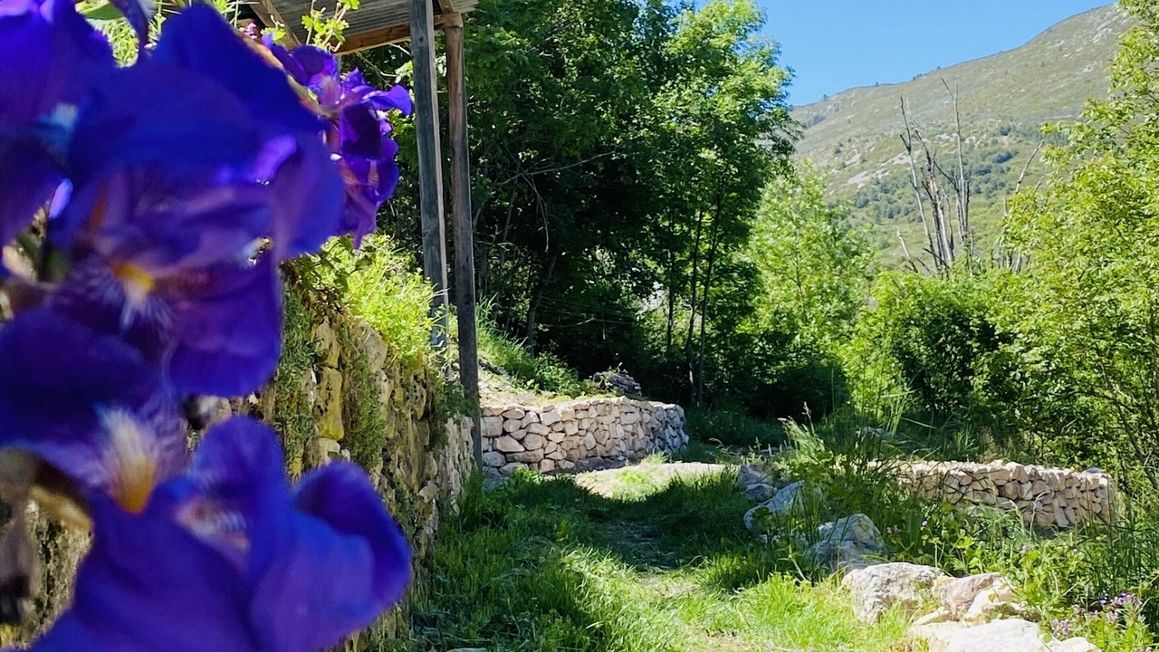 Photo of Outdoor in Blieux