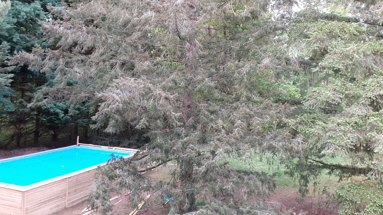 Photo of Outdoor in Chitenay
