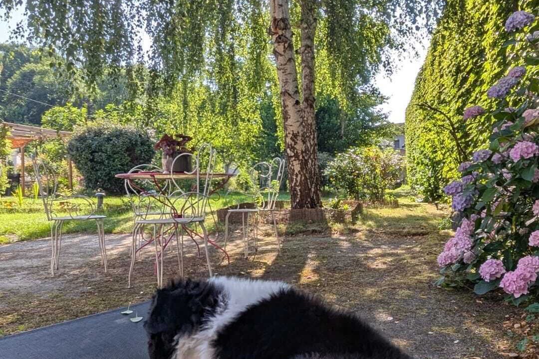 Photo of Outdoor in Izaut-de-l'Hotel