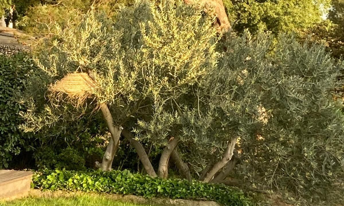 Photo of Outdoor in Les 3 Ponts
