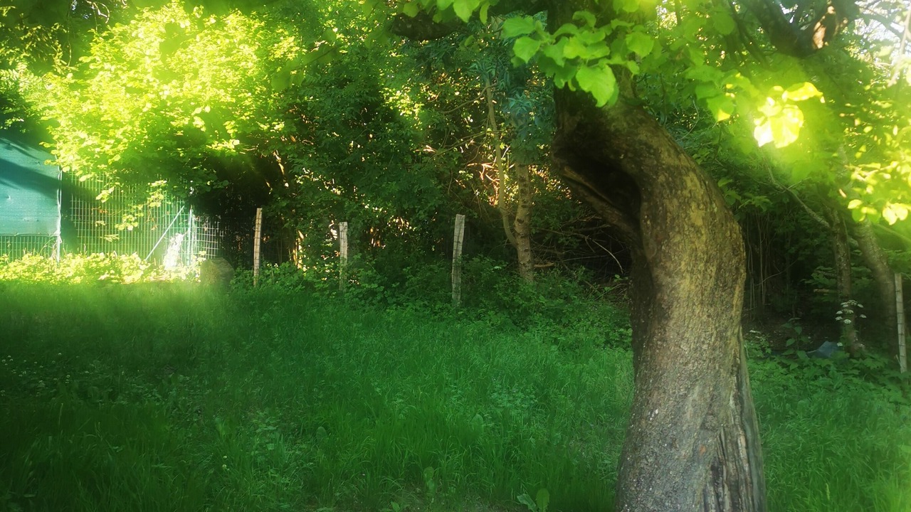 Photo of Outdoor in Seyne