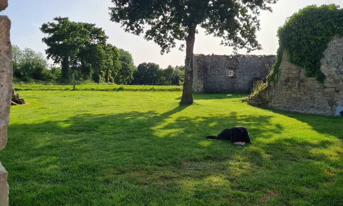 Photo of Outdoor in La Foeil