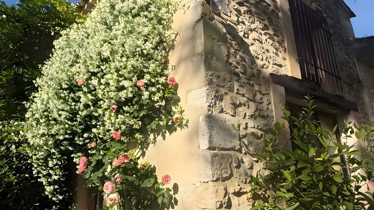 Photo of Outdoor in Saint Michel d'Euzet
