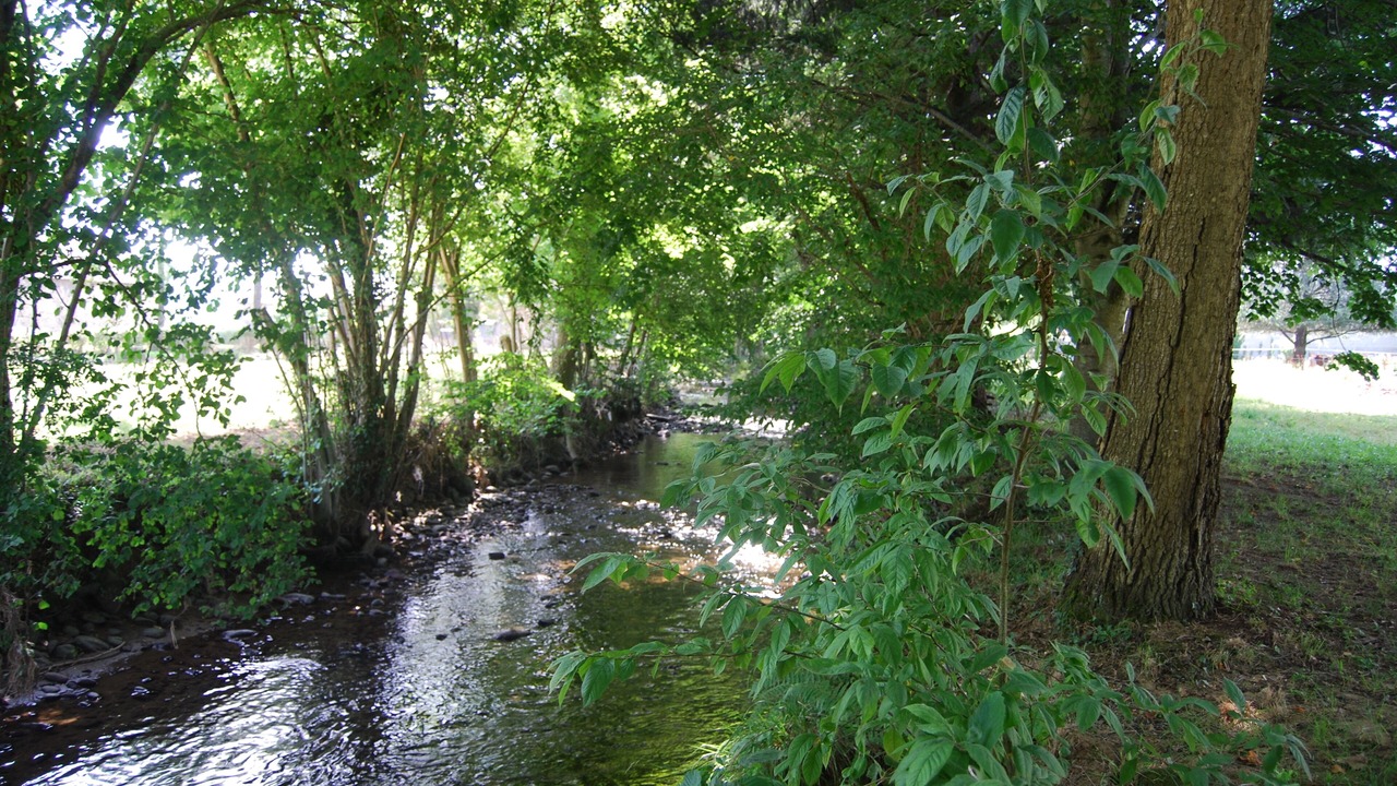 Photo of Others in Livron