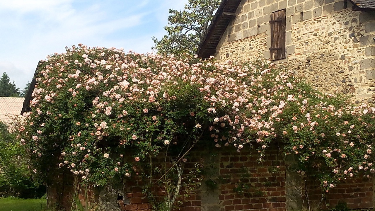 Photo of Outdoor in Livron