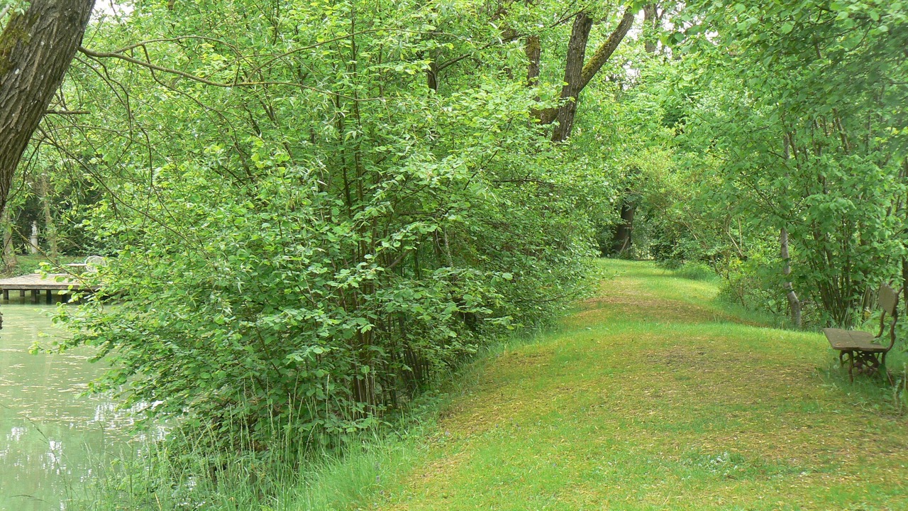 Photo of Outdoor in Sampigny