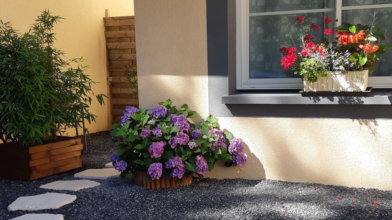 Photo of Outdoor in Notre-Dame-de-Sanilhac