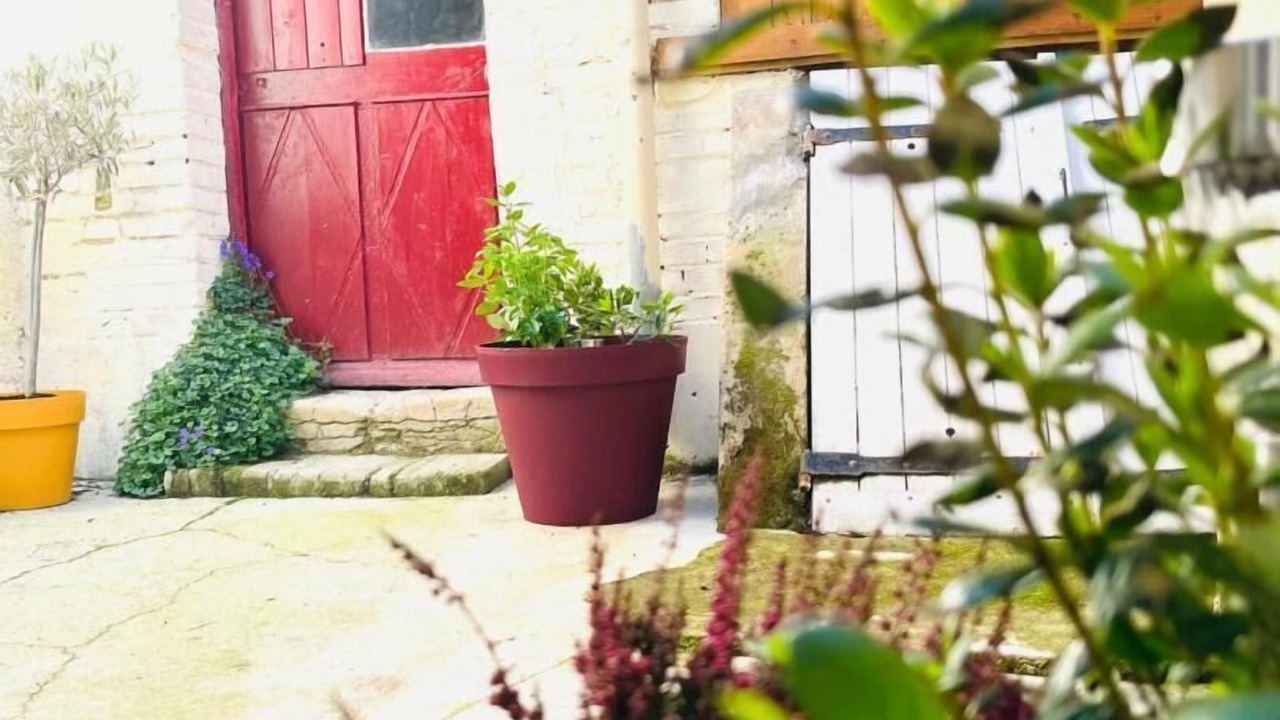 Photo of Outdoor in Vertus