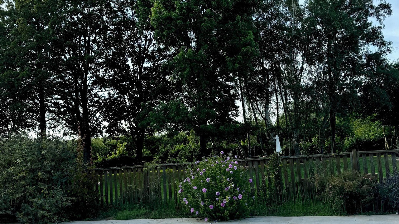 Photo of Outdoor in Boeurs-en-Othe