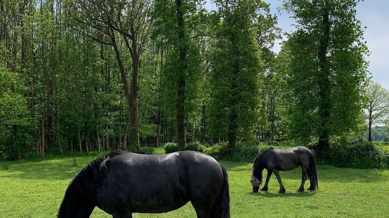 Photo of Others in Saint-Vran
