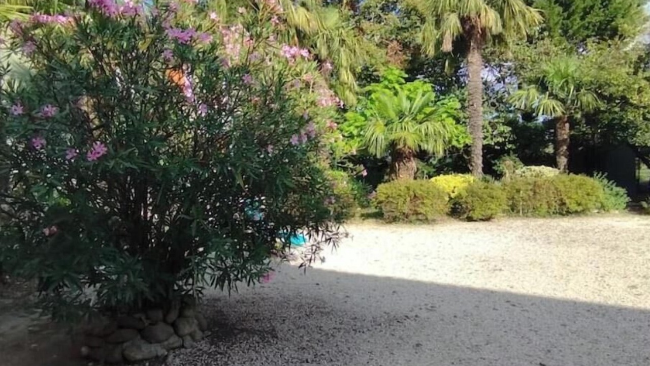 Photo of Outdoor in Puydarrieux