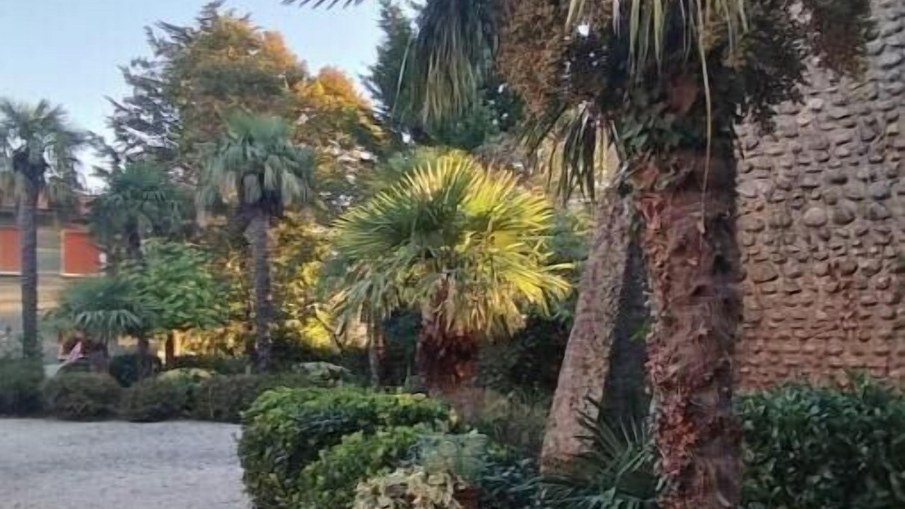 Photo of Outdoor in Puydarrieux