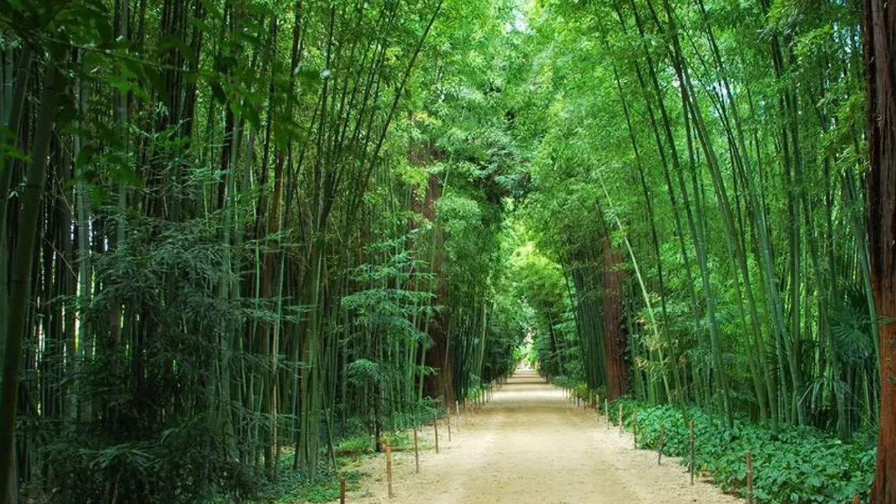 Photo of Outdoor in Martignargues