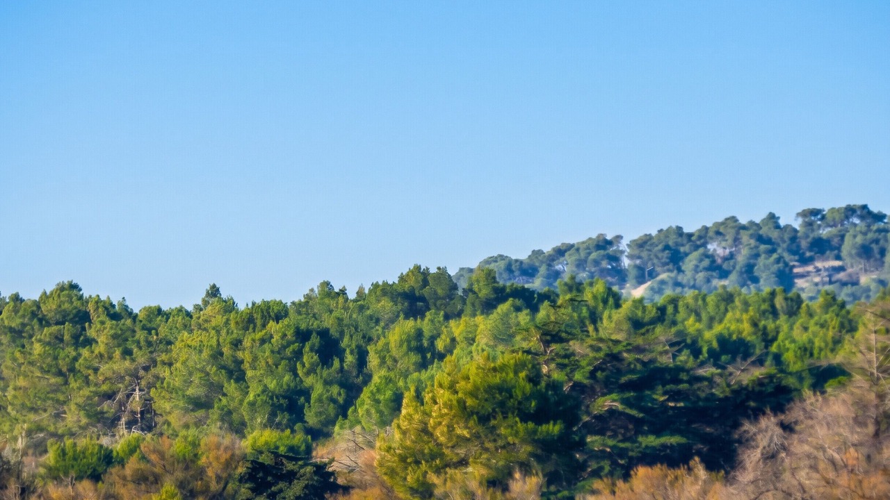 Photo of Others in Les Ayguades