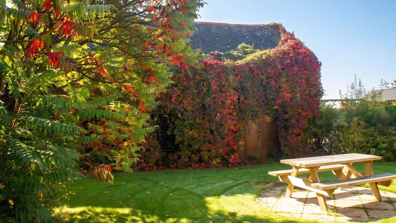 Photo of Outdoor in Saint-Goueno