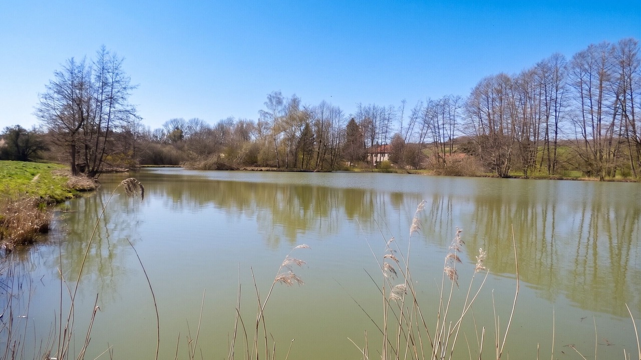 Photo of Outdoor in Nouart