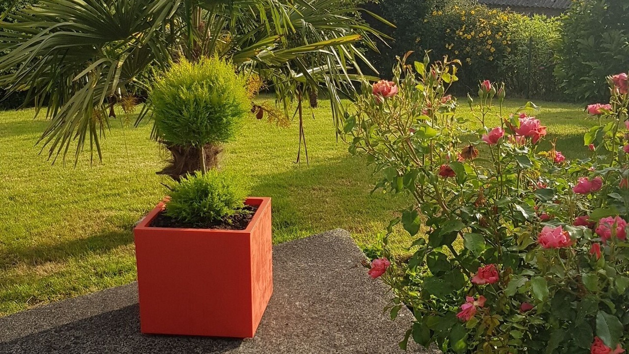 Photo of Outdoor in Plaintel