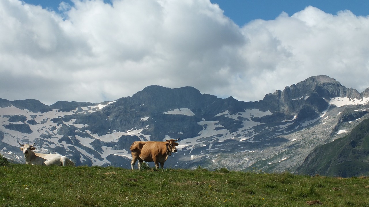 Photo of Outdoor in Saint-Aventin
